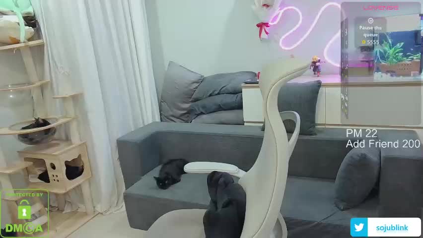 daisybean Adult Chat May 23, 2026