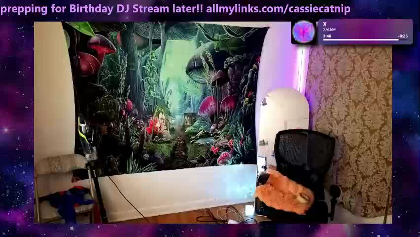tricky_nymph Adult Chat May 23, 2026