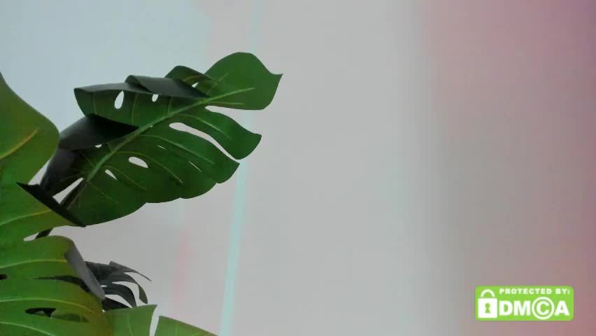 ashllovee_ Adult Chat May 24, 2026