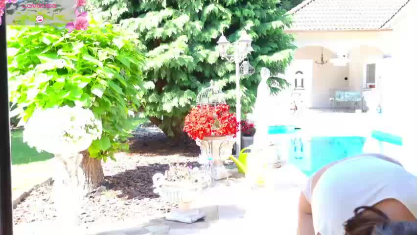 tunderose Adult Chat May 24, 2026
