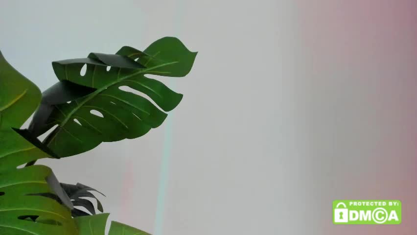 ashllovee_ Adult Chat May 25, 2026