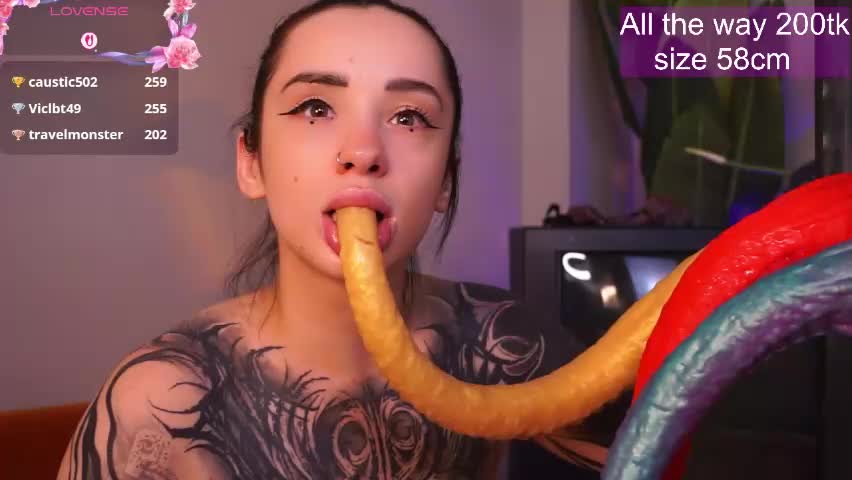 evarabbit Adult Chat May 25, 2026
