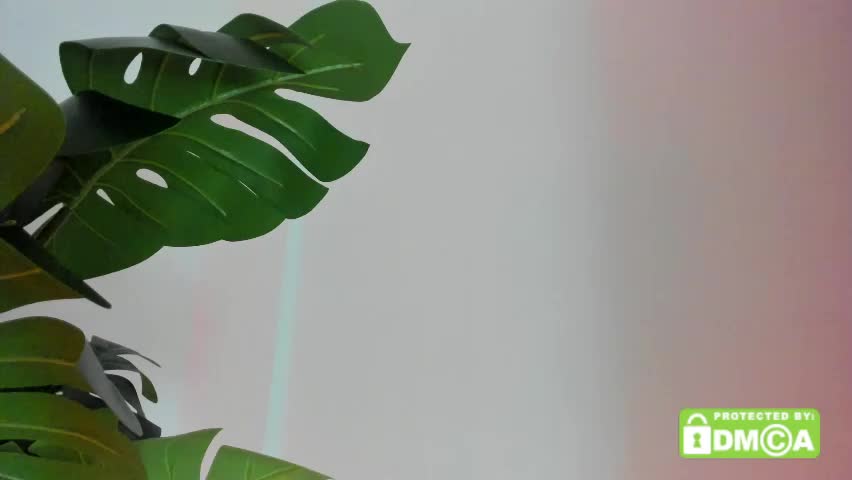 ashllovee_ Adult Chat May 25, 2026