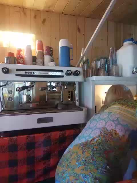 Katriona Adult Chat May 26, 2026