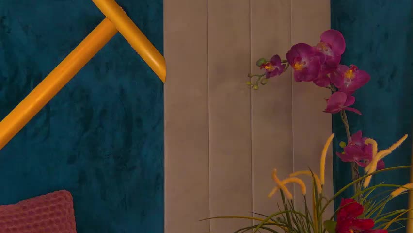 ashy_bunny Adult Chat May 26, 2026