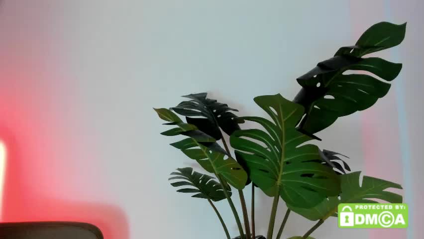 ashllovee_ Adult Chat May 30, 2026