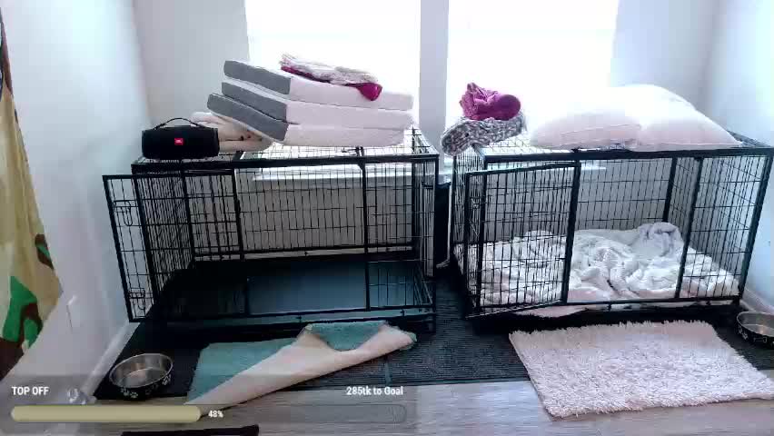 creamstarbaby Adult Chat May 30, 2026