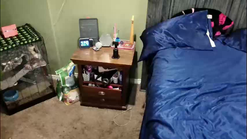 sophtheshydemibabe Adult Chat May 30, 2026