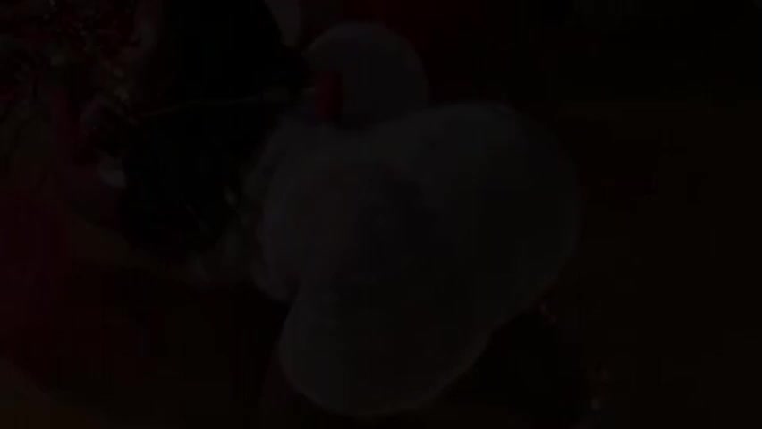 tiffanymena1 Adult Chat May 31, 2026