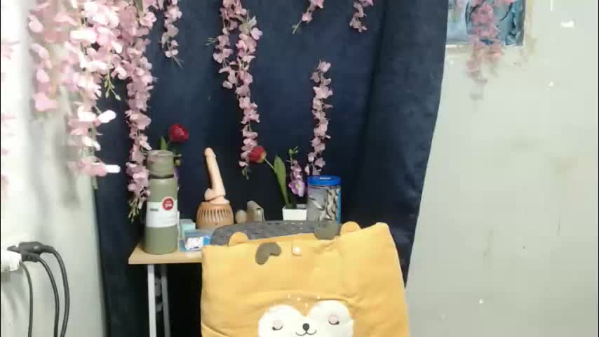 _shanexx Adult Chat June 1, 2026