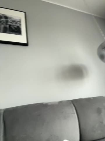 babyymommyanddadyy Adult Chat June 2, 2026
