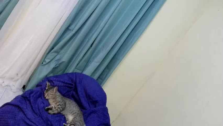 alaiza_malinao Adult Chat June 3, 2026