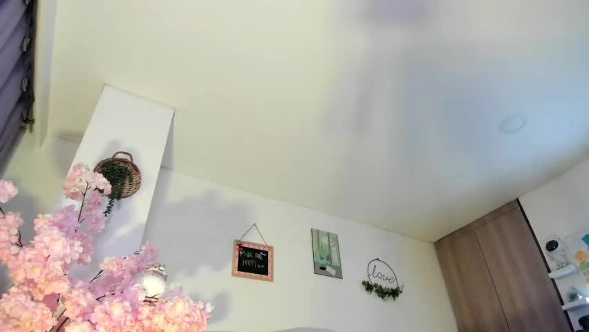 misssofiia_7 Adult Chat June 4, 2026