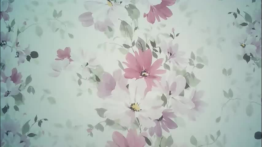eveliina_shy Adult Chat June 3, 2026