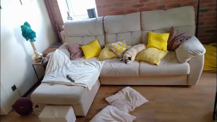 _mari_ Adult Chat June 4, 2026