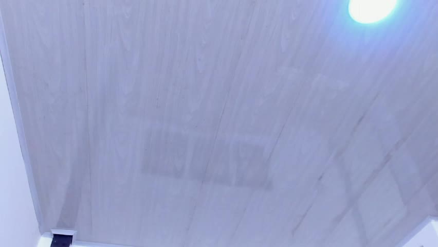 kitty_f00x Adult Chat June 6, 2026