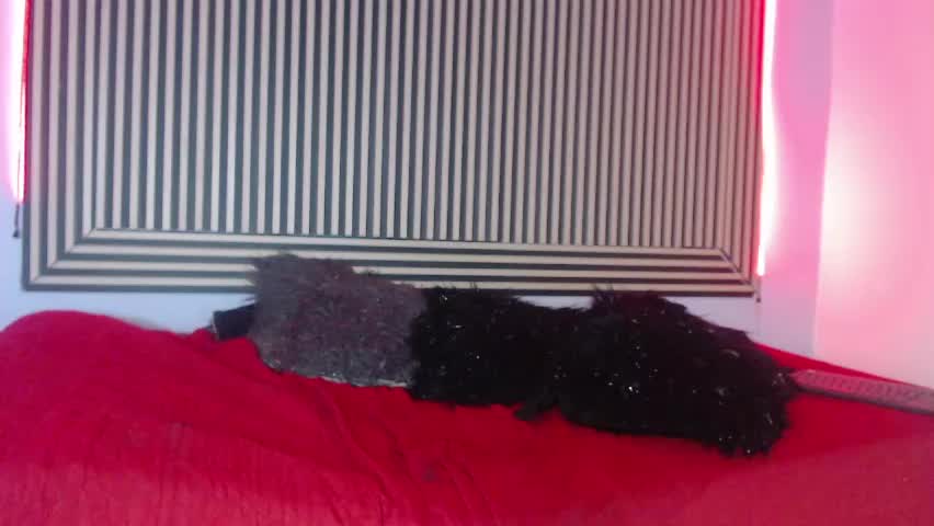 angelicfoxx_ Adult Chat June 8, 2026