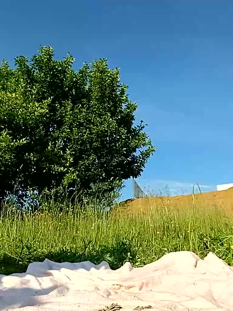 RoxySexy Adult Chat June 8, 2026