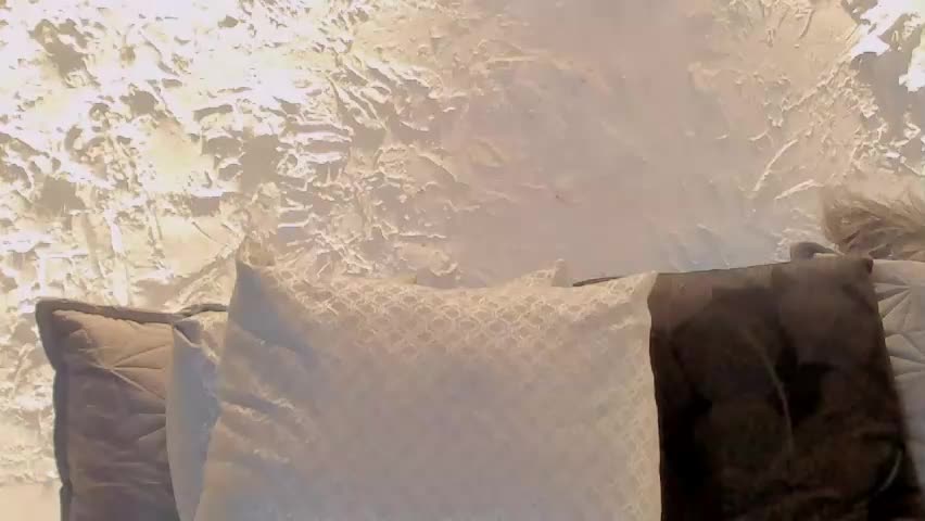 joselin_rouse Adult Chat June 8, 2026