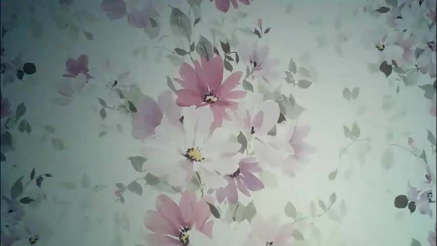 eveliina_shy Adult Chat June 8, 2026