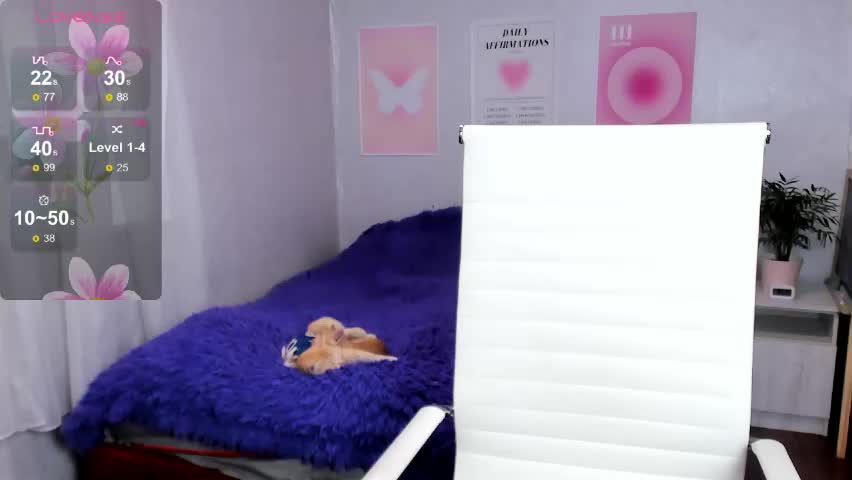 queitsharm_ Adult Chat June 8, 2026