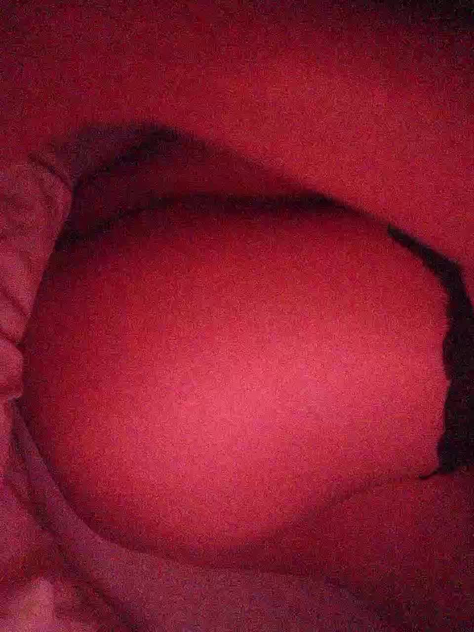 Alina-9999 Adult Chat June 9, 2026