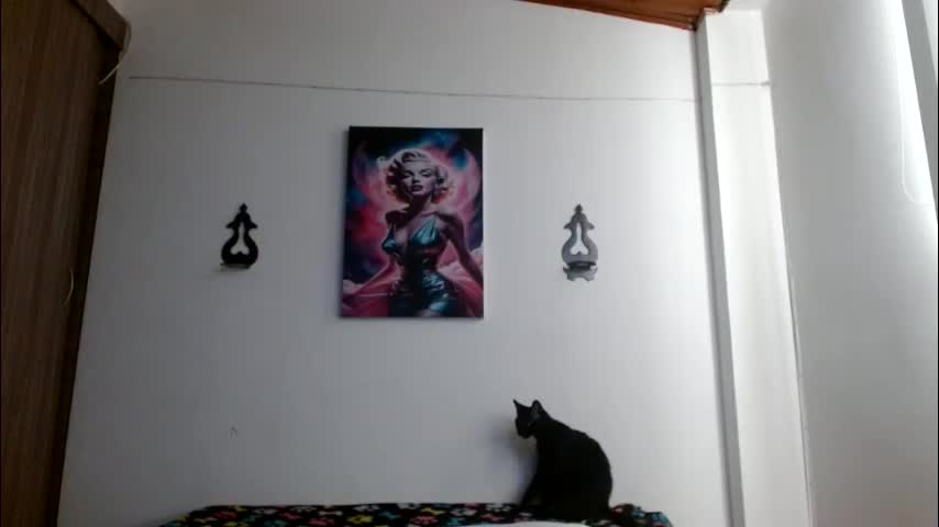 crystal_starx Adult Chat June 10, 2026