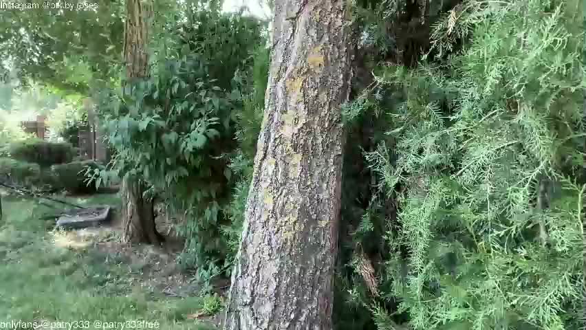 patry333 Adult Chat June 10, 2026
