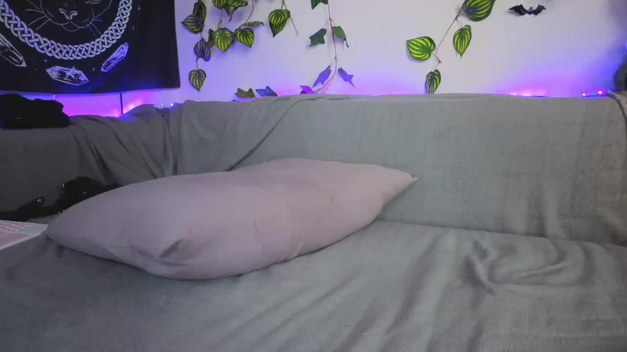 kawaiikitty Adult Chat June 11, 2026