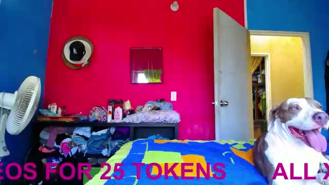 blackpanter_13 Adult Chat June 11, 2026