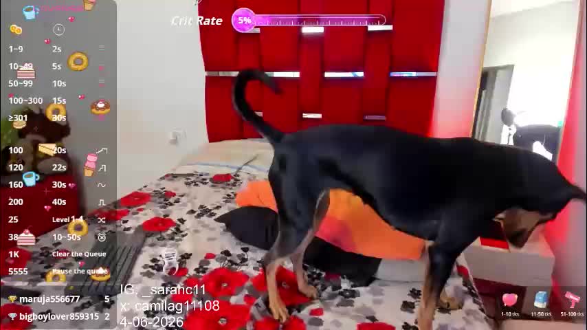 camila_hot_tss Adult Chat June 10, 2026