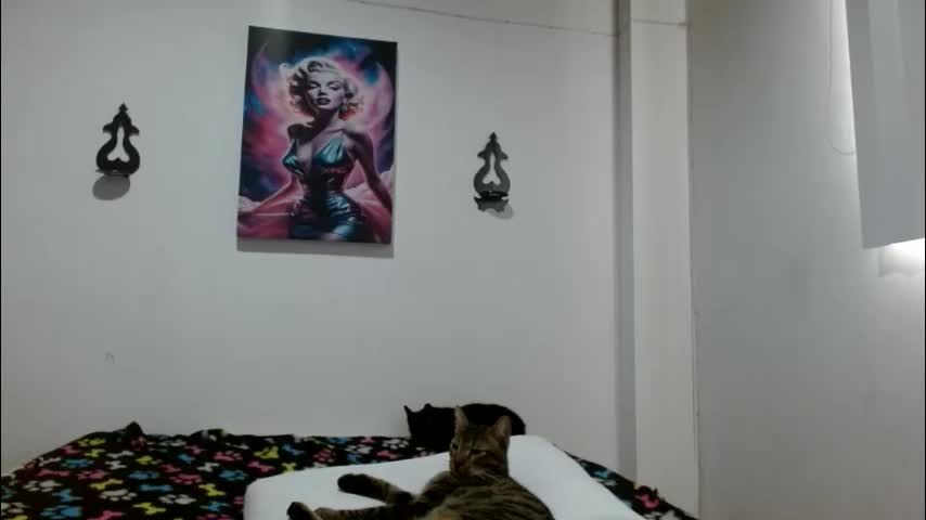 crystal_starx Adult Chat June 12, 2026