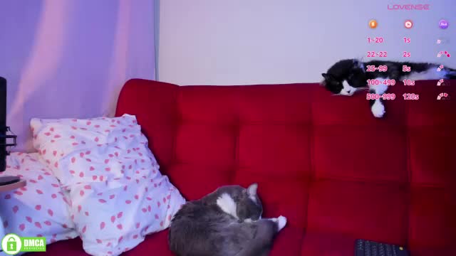 petitemuse Adult Chat June 12, 2026