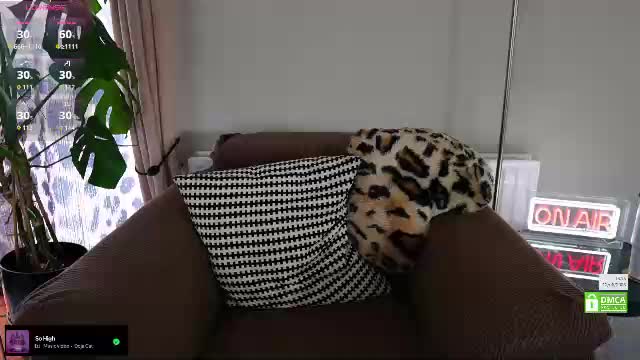 billiexxox Adult Chat June 14, 2026
