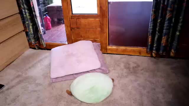 littledante91 Adult Chat June 14, 2026