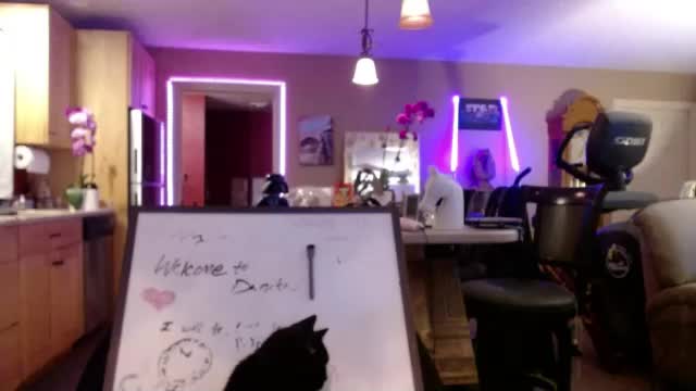 danikawhite69 Adult Chat June 15, 2026