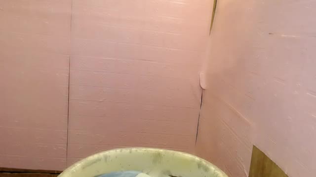 sexxy_dahlia Adult Chat June 16, 2026