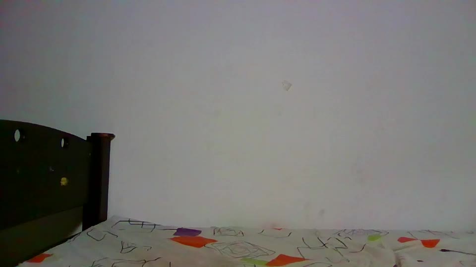 sasha_rose23 Adult Chat June 23, 2026