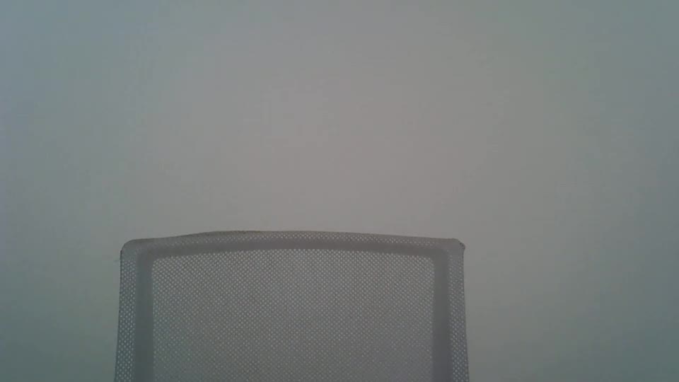 ditamilton Adult Chat June 25, 2026