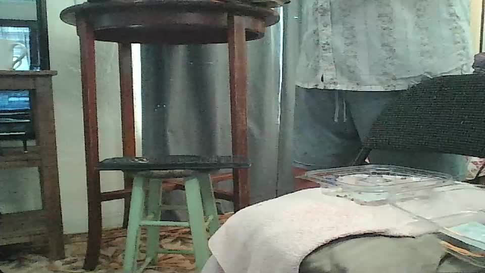 tomcatsawyer Adult Chat June 27, 2026