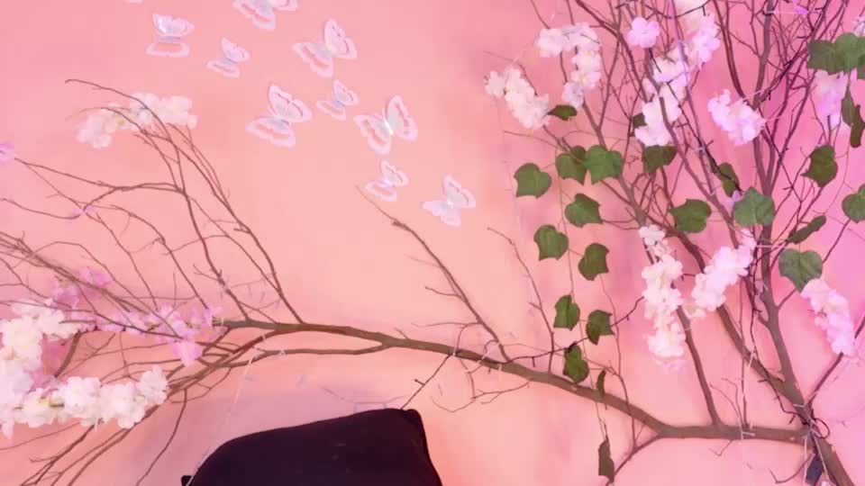 charlotte_love10 Adult Chat June 28, 2026