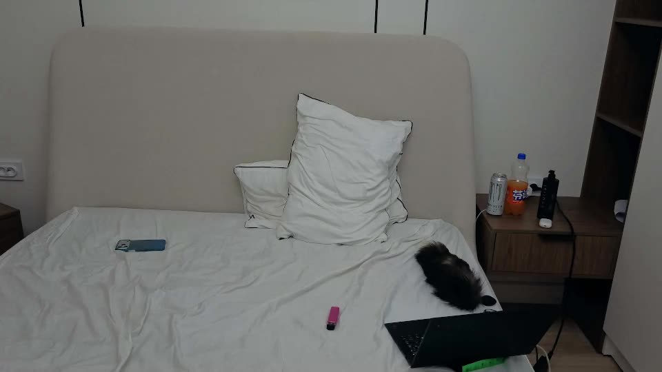 hinoxy Adult Chat July 3, 2026