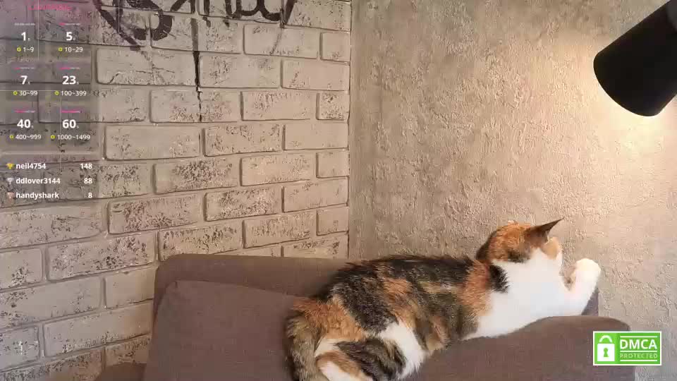 diora_babe Adult Chat July 3, 2026