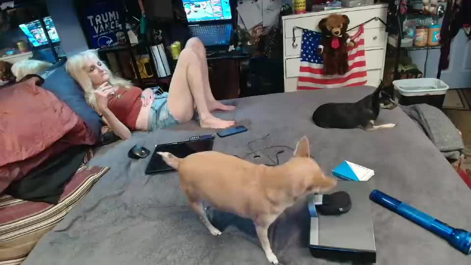 pink_black Adult Chat July 8, 2026