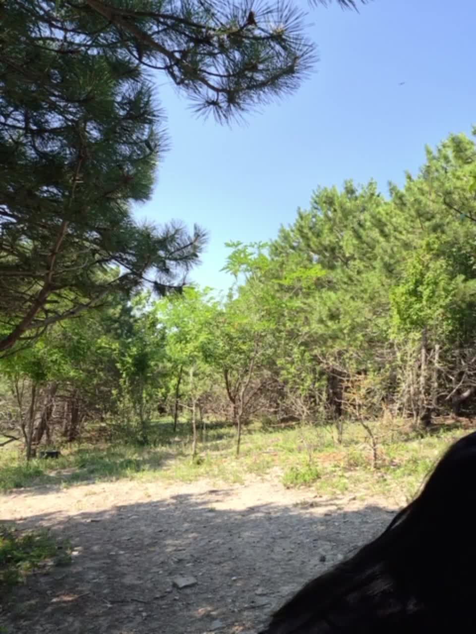 ___Pypsiki___ Adult Chat July 10, 2026