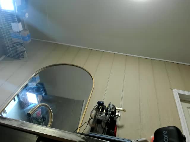 Adellebunny Adult Chat July 10, 2026