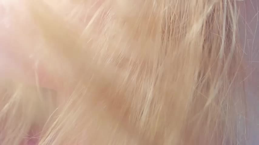teencute Adult Chat July 11, 2026