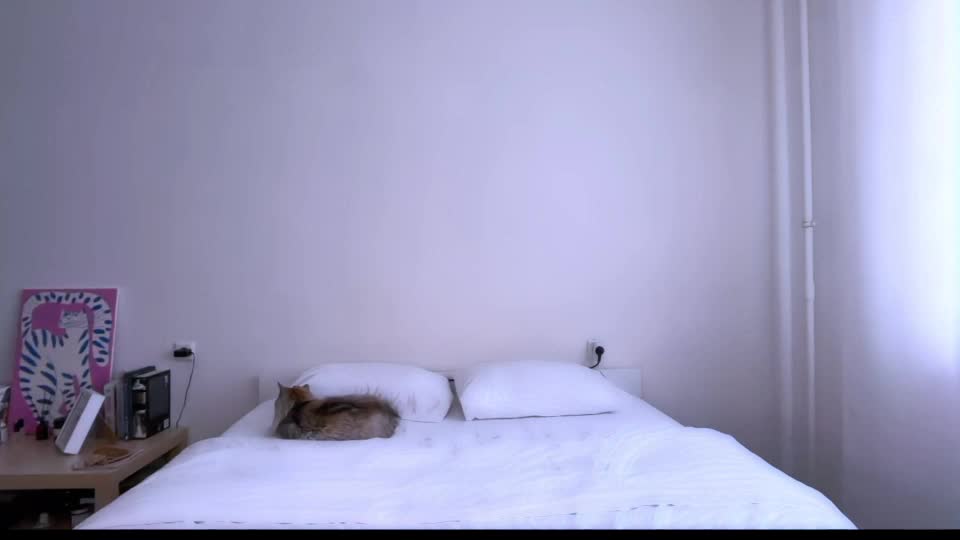 milky__way_ Adult Chat July 11, 2026