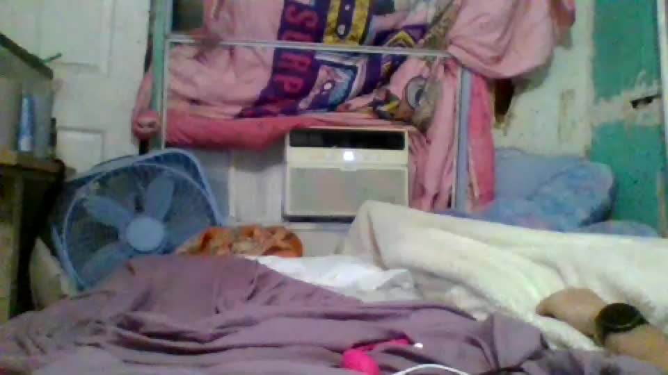 jessicarabbits4 Adult Chat July 12, 2026