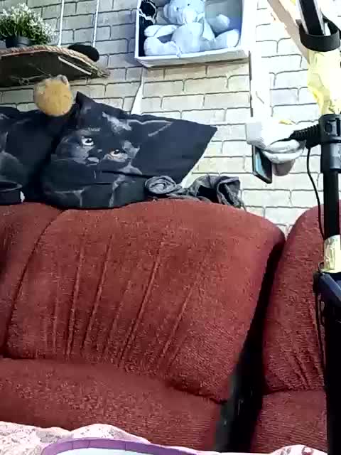 Lina-a-13 Adult Chat July 11, 2026